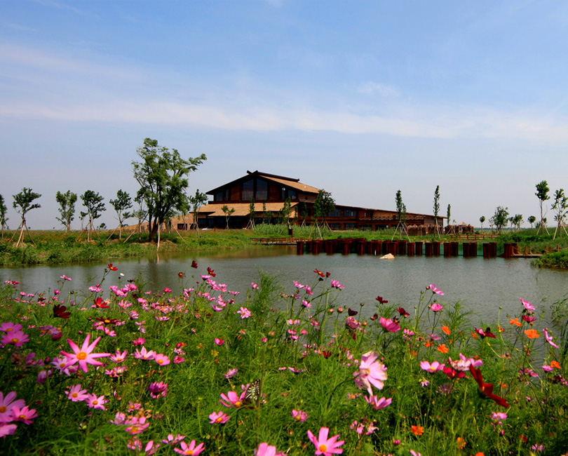 杭州湾湿地公园